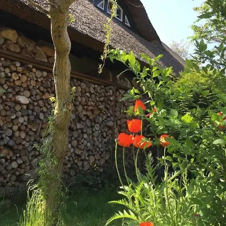 아파트 Koras Dachkammer *
