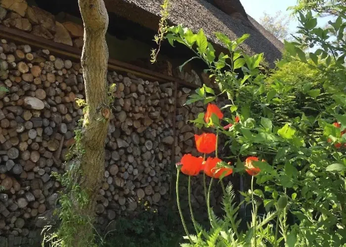 Koras Dachkammer * Ribnitz-Damgarten
